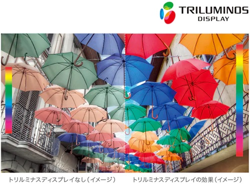 広色域「トリルミナスディスプレイ」を採用