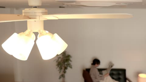 LED対応 シーリングファン 花形ガラスシェード Amazon.co.jp: シーリングファンライトカバー 4個パック トランジ