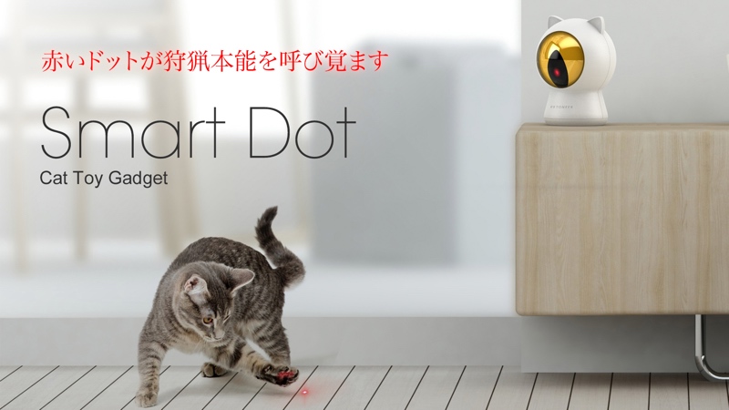 猫の運動不足を解消して肥満リスクを軽減するという