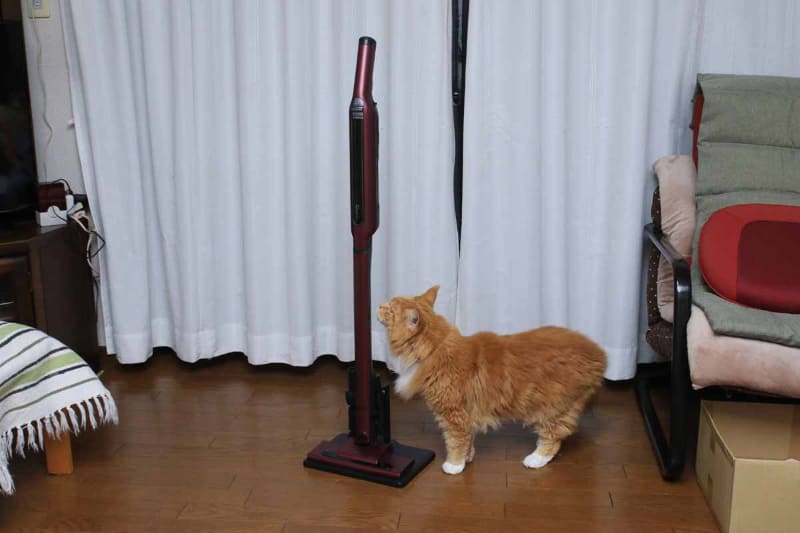 フローリング専用モデル。ヘッド部分に回転ブラシがなく、薄くスマートなデザインになっている