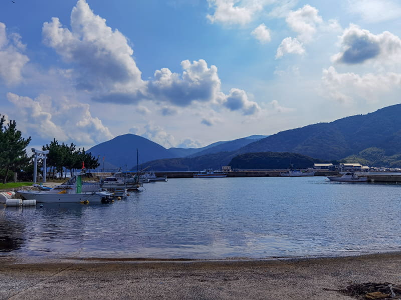 由良比女神社のある海。最近はないそうだが、以前は本当に大量のイカが押し寄せたそう