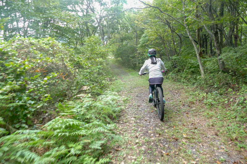 噴火口までの道も気持ちいい