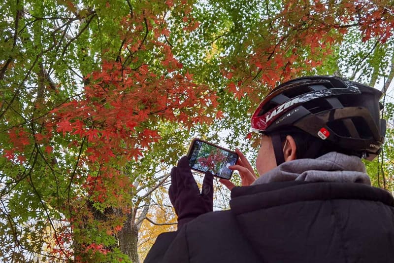 代々木公園の紅葉。少しだけどとてもキレイ