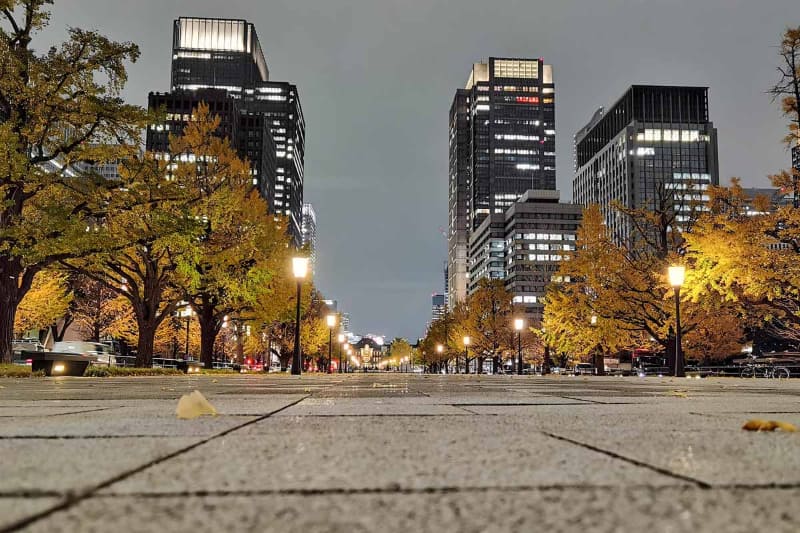 帰る頃には日も暮れて、待ち合わせ場所の東京駅もライトアップ。これもまたいいですね