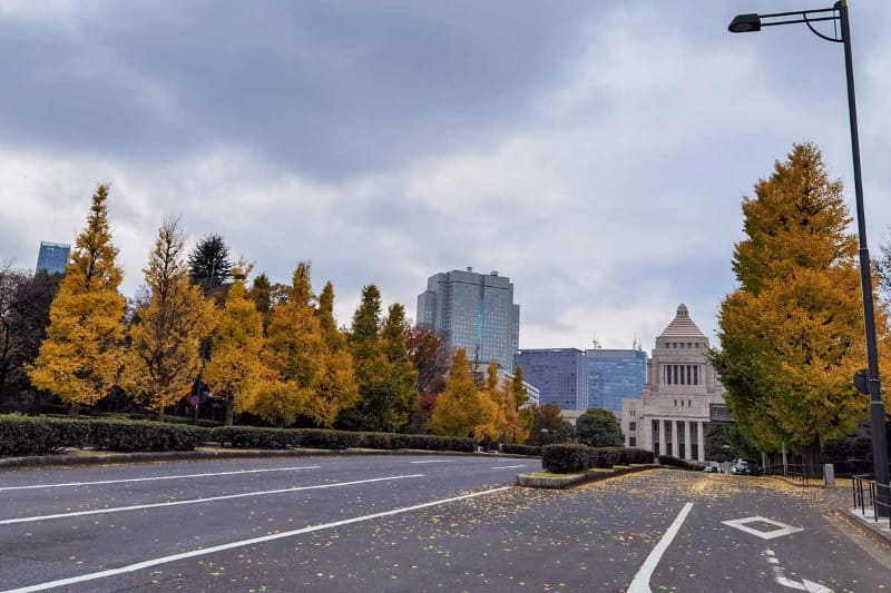 人生初の国会議事堂に興奮