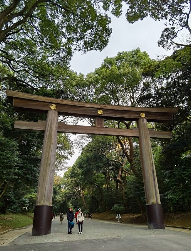 初めて見る明治神宮の大きな鳥居