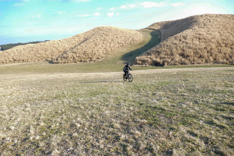 ここは日本ですか?