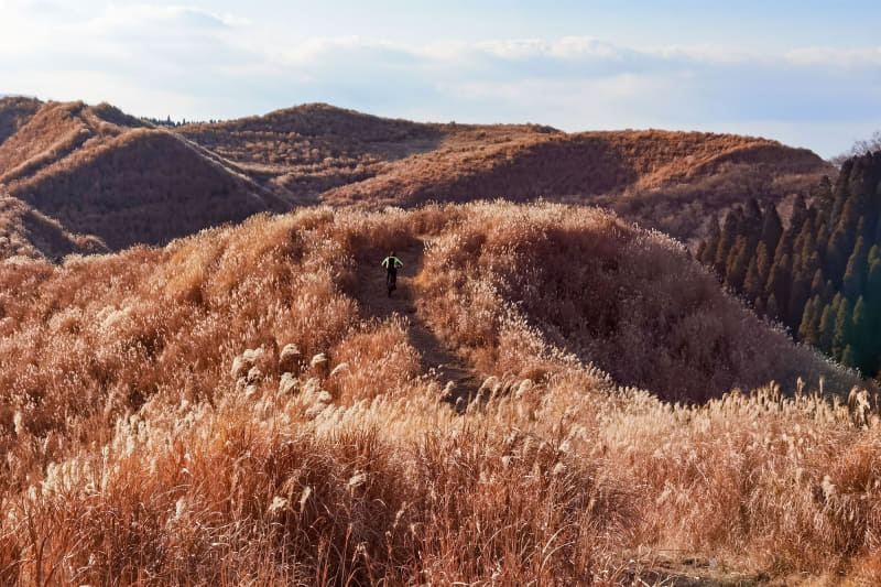 草原ライドは「草原」のイメージよりはるかにトレイルコースといった感じ