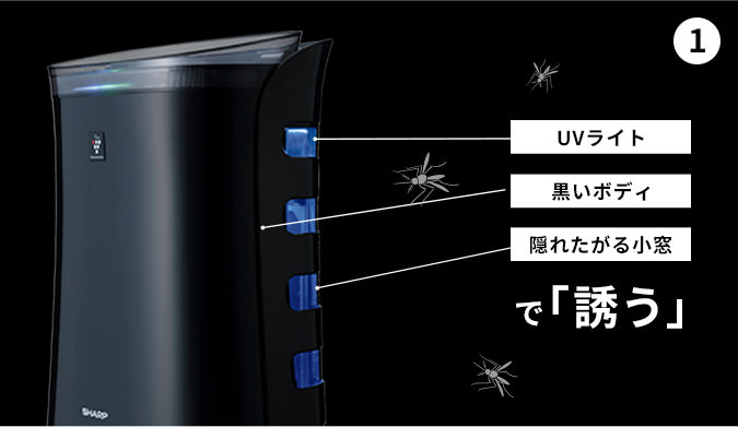 蚊が好むUVライトと黒い本体、小窓を採用