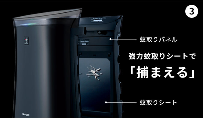 強力粘着シートで捕獲する