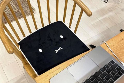 USBクッションウォーマー