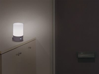 ライトは白色にも調節できる