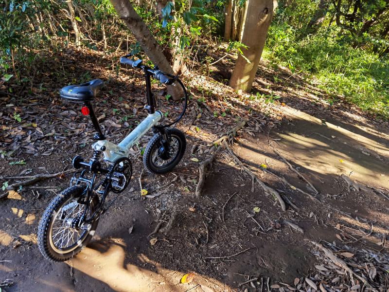 林道のような場所