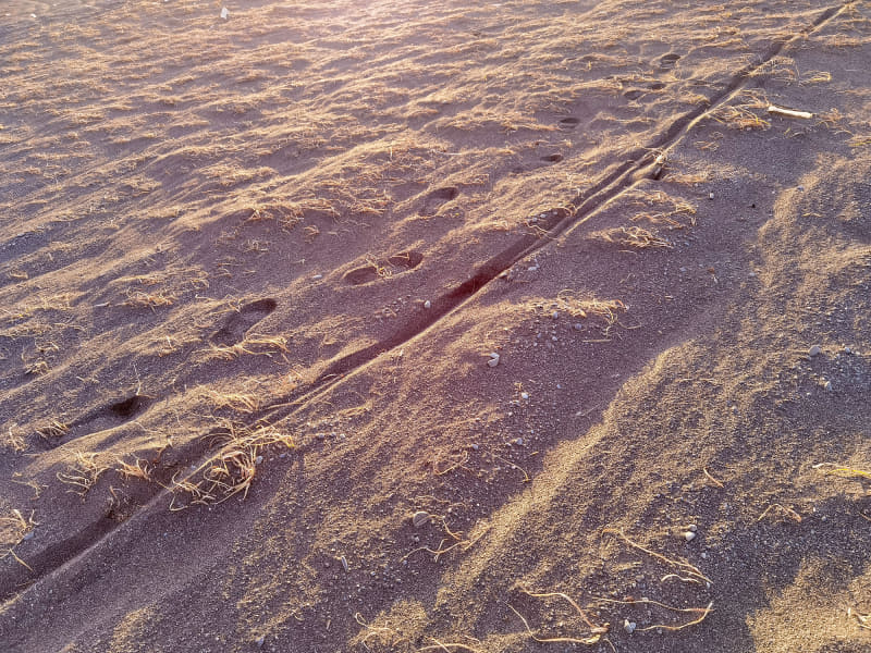 少しは走れたものの、砂浜になるとタイヤを取られて走れませんでした。グラベルロードe-bikeとはいえ、砂浜になっちゃうと無理っぽい