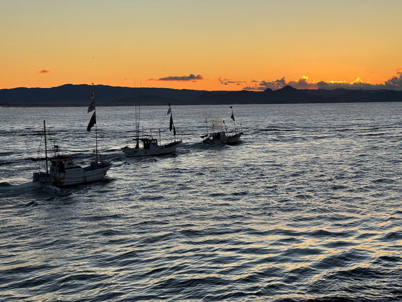 新年のしらす豊漁を祈願した海上パレードだそうです