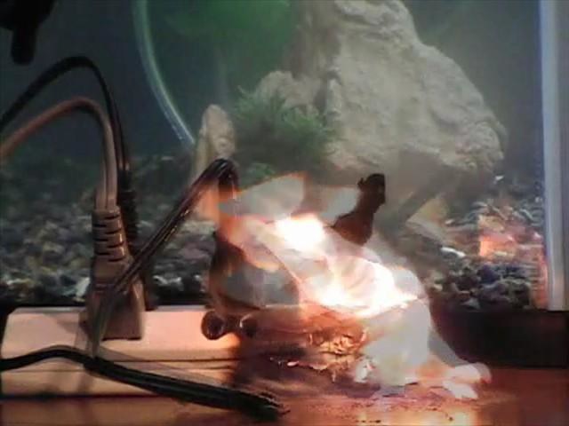 電源プラグに水分が付着し、トラッキング現象が発生(NITEの再現実験)