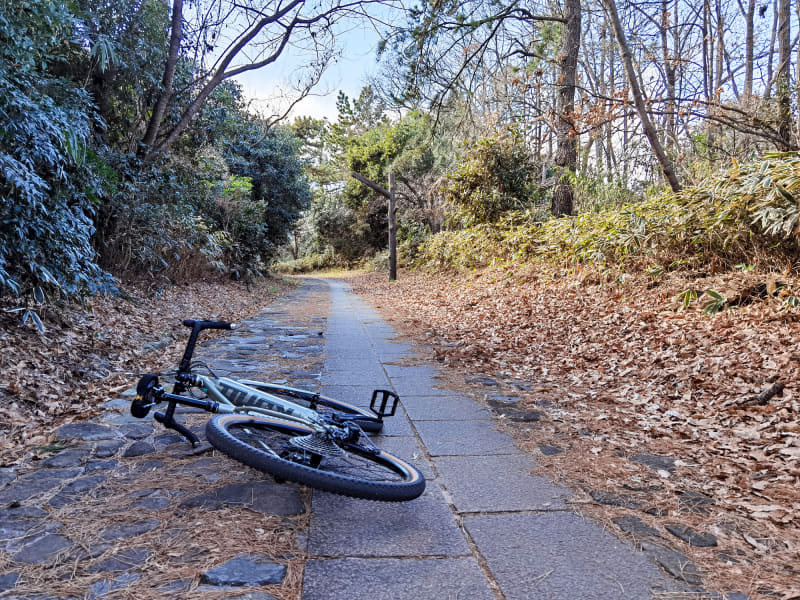 路面を気にせずに走れるので楽しさが広がる
