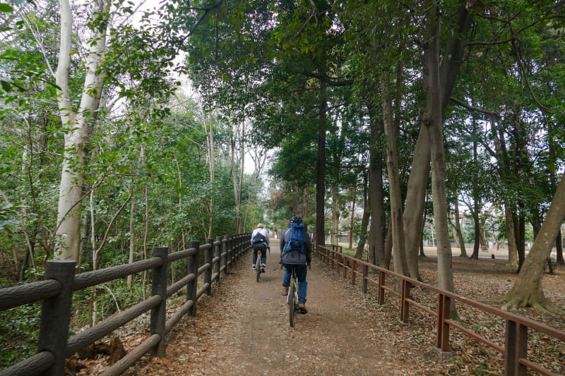 ここが東京の街中とは、にわかに信じられないような緑あふれる道を2台のグラベルロードバイクで走る。玉川上水沿いエリア(<a href="https://www.google.co.jp/maps/place/%E3%80%92181-0001+%E6%9D%B1%E4%BA%AC%E9%83%BD%E4%B8%89%E9%B7%B9%E5%B8%82%E4%BA%95%E3%81%AE%E9%A0%AD%EF%BC%91%E4%B8%81%E7%9B%AE%EF%BC%97/@35.6861487,139.589848,137m/data=!3m2!1e3!4b1!4m5!3m4!1s0x6018f1e08b55a1a3:0xcc523a0b1363d248!8m2!3d35.6861678!4d139.5904036?hl=ja" class="n" target="_blank">Google マップではこのあたり</a>)