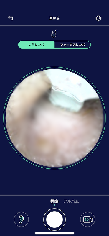 実際の耳の穴はえげつないので見せられません。汚れもそうですが、細かい毛がいっぱい生えています