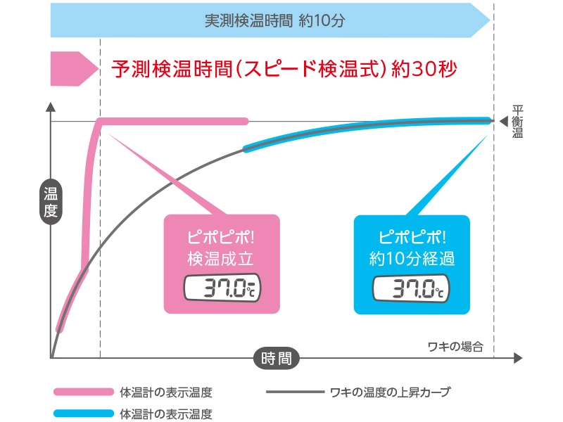 約30秒で予測検温が可能で、約10分で実測検温できる