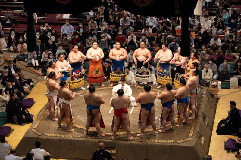 パパは200mmレンズで土俵を撮影して楽しんでおりました
