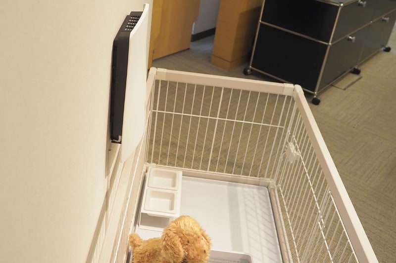 側面から見たところ