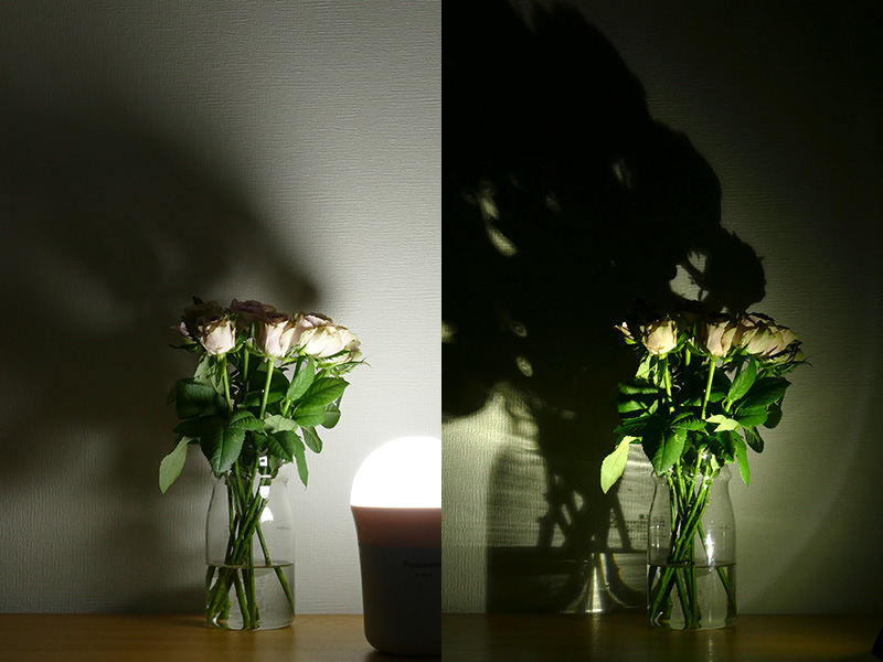 でかランタンは周囲も明るく、影も柔らか(左)。「BF-MK10」で照らすと、照らされた花の後ろに位置する花は、影に隠れてしまうほど影が濃い