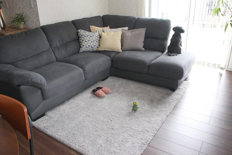 スリッパやペットのおもちゃをスタンバイ。日によっては、畳んだ洗濯物の山があることも