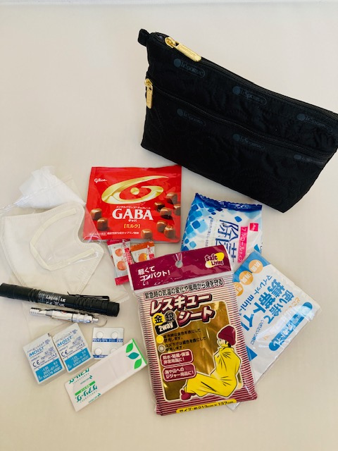 筆者が持ち歩いているポーチ