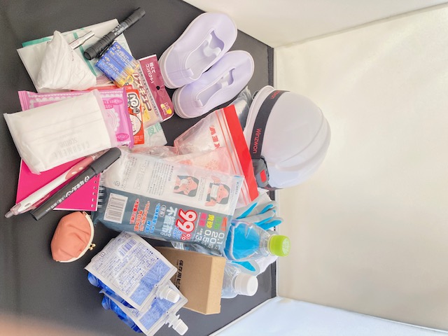 筆者の非常用持ち出し袋(主なもの)