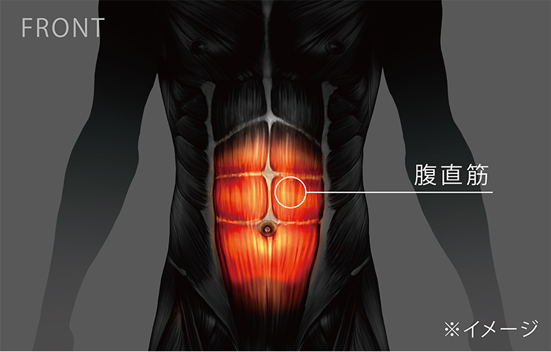 腹筋、脇腹、背筋(下部)を同時に鍛える。多くの人が憧れる引き締まった腹直筋を短時間で効率よく鍛える