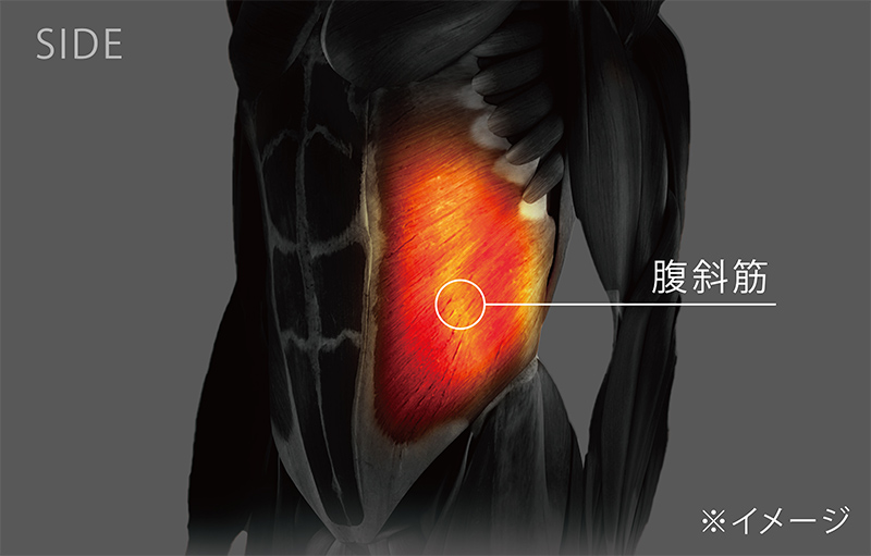 ウエスト周りを美しく見せる腹斜筋にアプローチする
