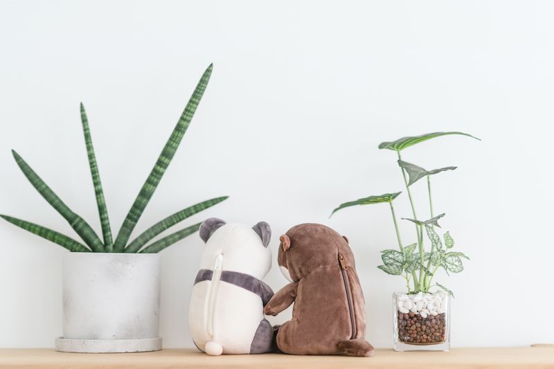 後ろ姿もかわいらしい