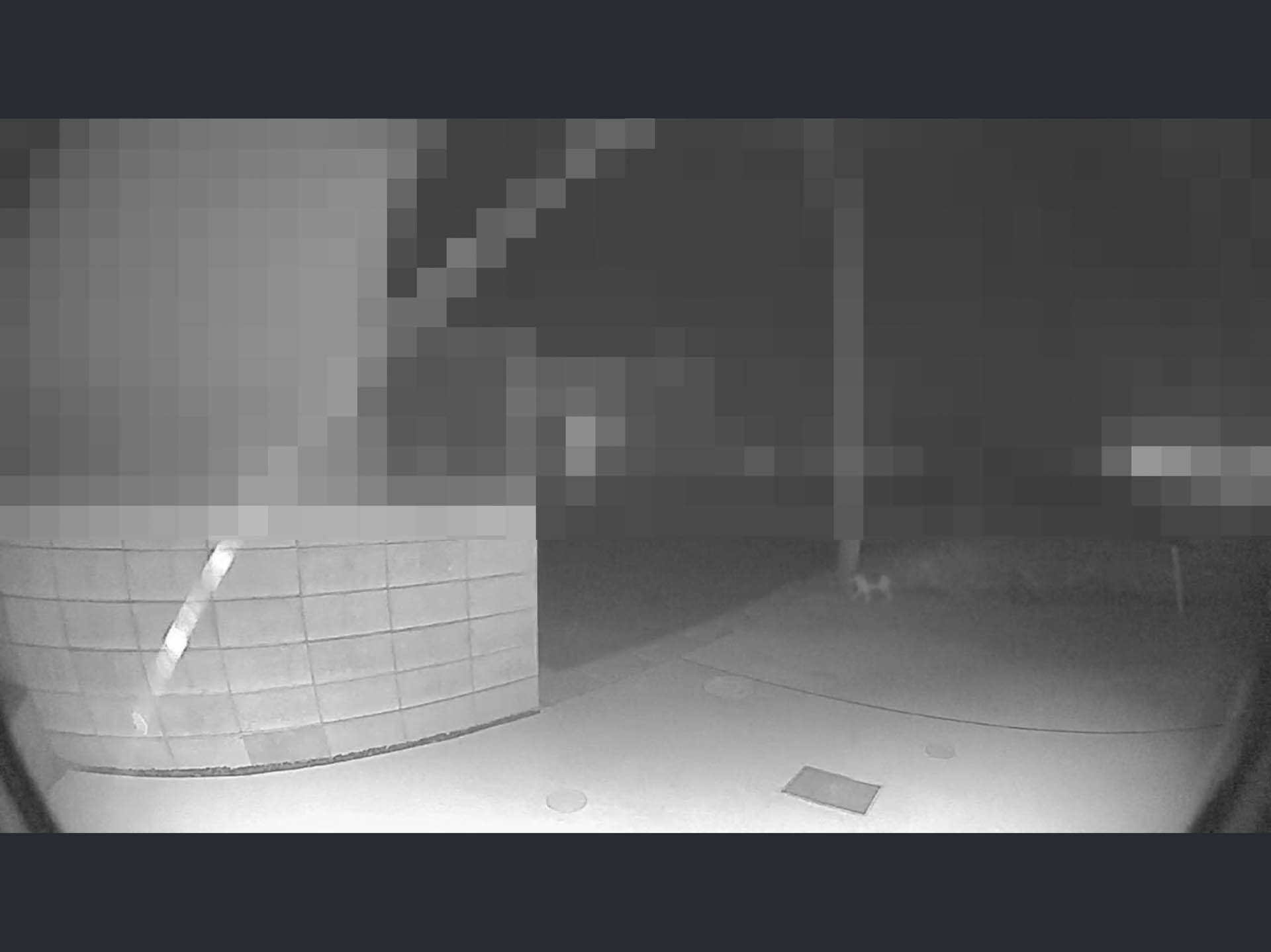 Doorbell 4の映像は横長で直上や直下は見えず、暗いとモノクロになる。けど、不法侵入したニャンコもモーション検知してくれた