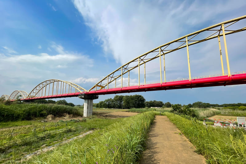 その先は行き止まり。行き止まりだから自転車や人の往来があまりないのかもしれません
