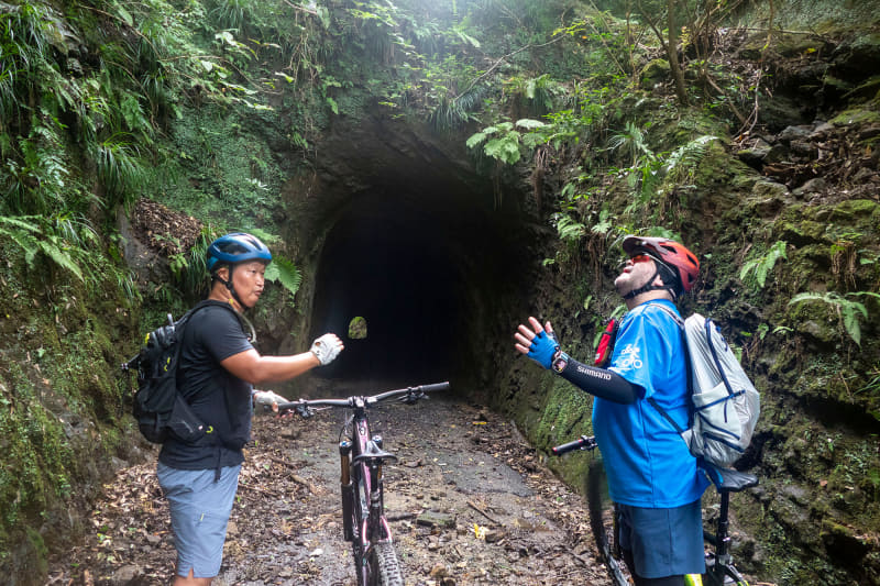 そして、いきなり、素掘りのトンネル。湿気がありシダ植物があり、関東の他の地域の林道とはかなり雰囲気が異なります