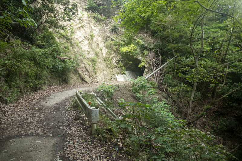 また別のトンネル。電柱が倒れていたりガードレールが谷に落ちていたり、気を抜けない林道です
