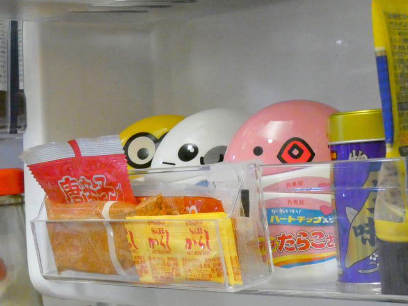 ケースが透明なので、中に何が入っているかがひと目でわかる