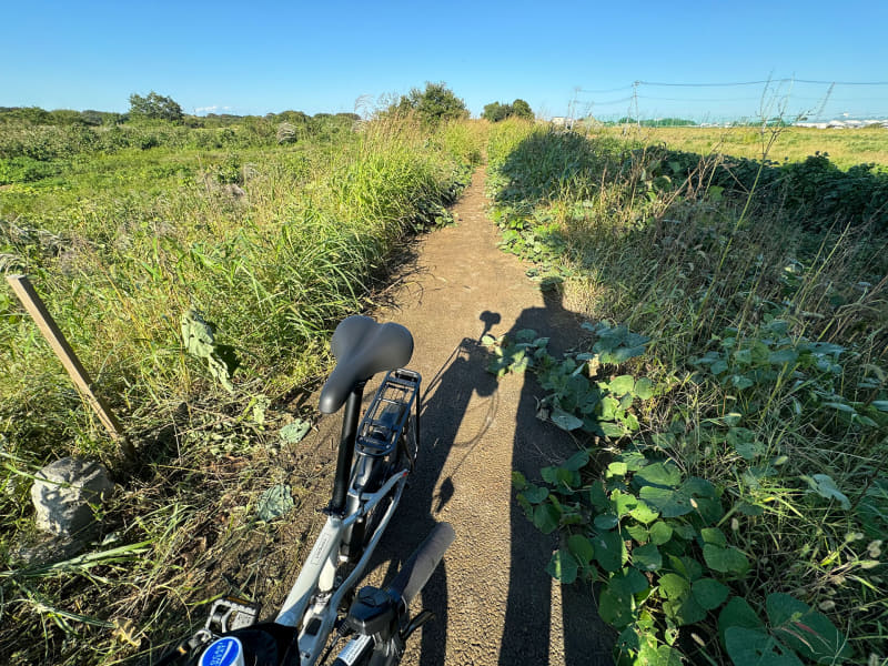また藪漕ぎ遊歩道までサイクリング。状況はあまり変わっていない感じです