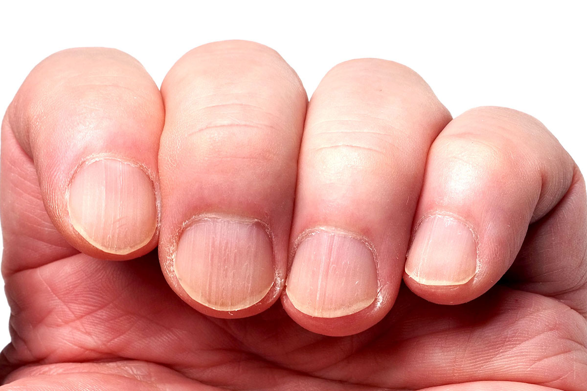 SUWADA爪切りは「パチン」という感じで爪が切れるのではなく、「コツン」「コクッ」「サクッ」という感じの音とともに爪が切断される感触です。歯が鋭くて爪に当たると滑りにくいので、爪の先の先だけ切るようなことも簡単です。写真は爪を切った直後ですが、爪のカーブもうまく処理できたと思います