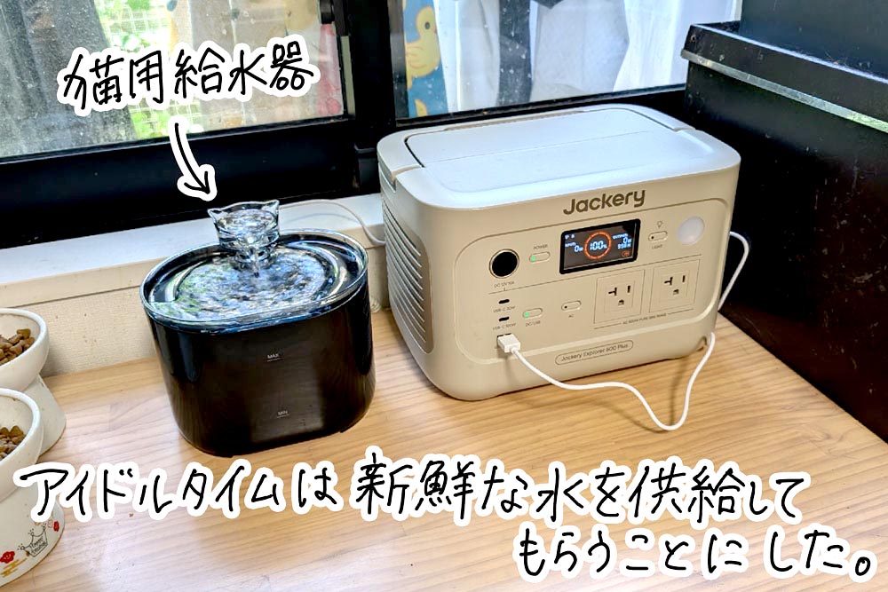 我が家での定位置は愛猫のウォーターボウル横に決まった