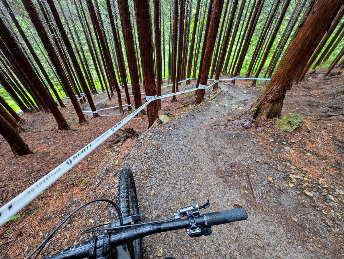 ダウンヒルというだけあって下りばかり。シフトチェンジするタイミングはそう多くないはずですが……