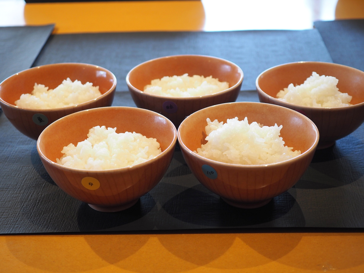 炊飯器によるごはんの味わいの違いを検証