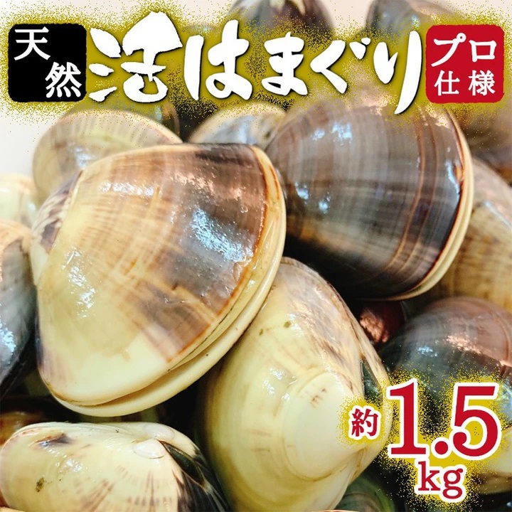 編集部員のおすすめ返礼品をご紹介します