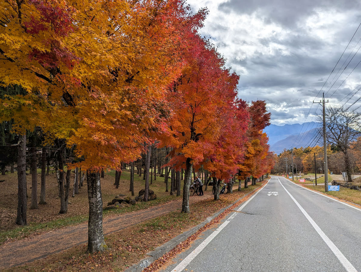 スタート地点まではかなりのヒルクライム。そのためゴール地点からはペダルバイクだと戻って来るのもかなり大変な坂なのでした