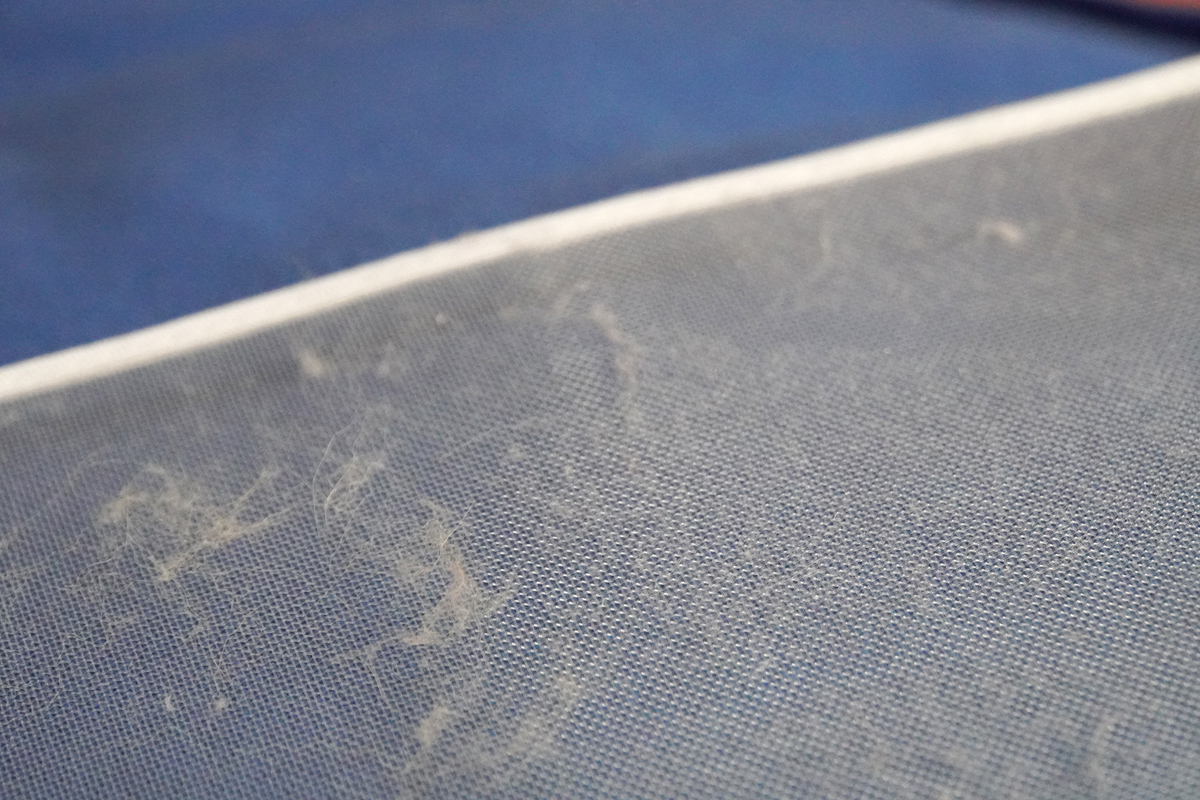 空気清浄機Tableの前でブラッシングしたところ、抜け毛がしっかりとプレフィルターに付着