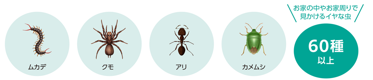 60種以上の害虫に適用