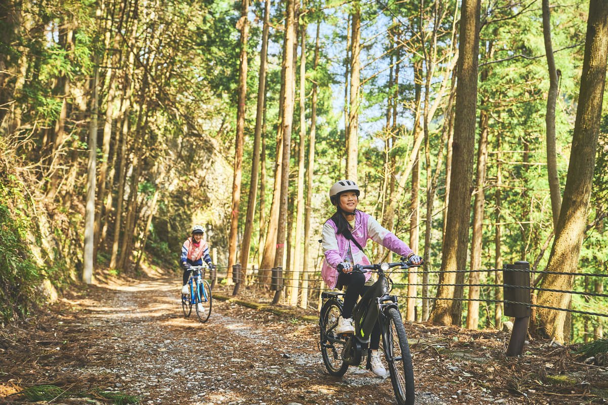 普通の自転車だと苦労する悪路も悠々と走り抜けていく「XEALT SJF」