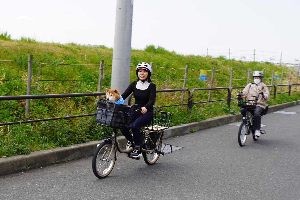 クルマ移動時は外の景色を見るのが好きというぶんたくんは、初めての自転車なのに気持ち良さそうに試乗。子供をふたり乗せられる仕様のギュットクルームは安全性と安定性に定評があるシリーズです