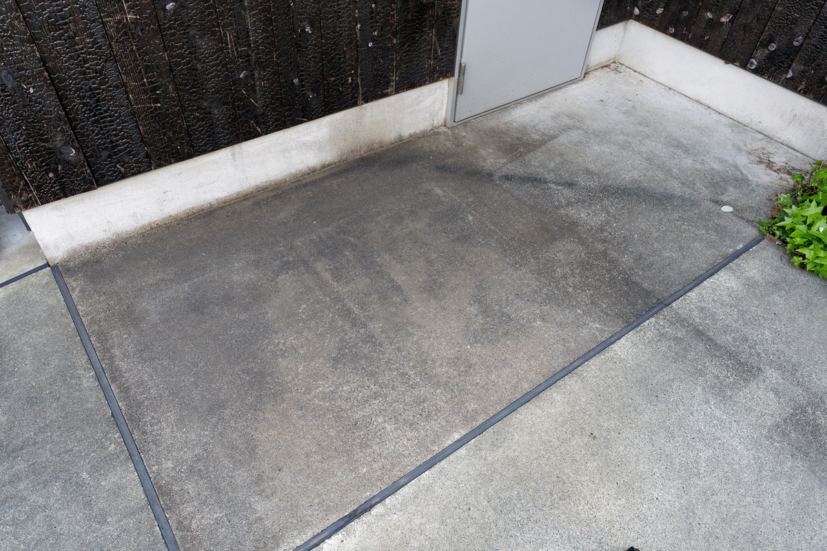 コケがびっしりのコンクリ床